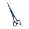 Barber Scissor