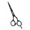 Barber Scissor 