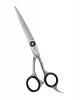 Barber Scissor