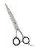 Barber Scissor