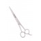 Barber Scissor