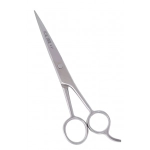 Barber Scissor