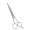 Barber Scissor